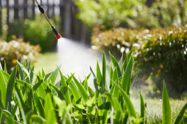 24/7 Emergency Fumigation Services experts in Butner, NC