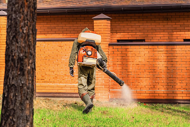 Top rated local Fumigation Services specialists in Butner, NC